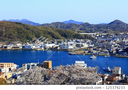 【廣島縣】春天櫻花盛開時從千光寺眺望尾道的街道 125379233