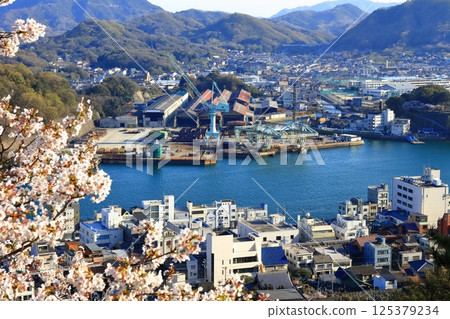 【廣島縣】春天櫻花盛開時從千光寺眺望尾道的街道 125379234