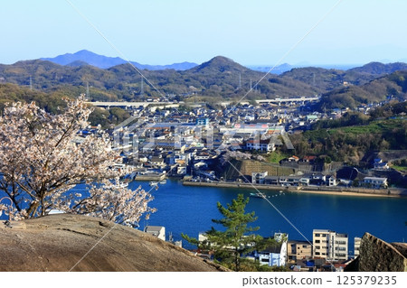 【廣島縣】春天櫻花盛開時從千光寺眺望尾道的街道 125379235