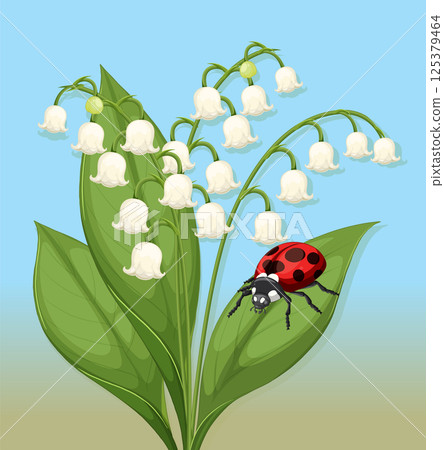 Ladybug on Lily of the Valley Illustration 125379464
