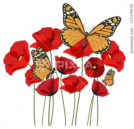 Monarch Butterflies Resting on Red Poppies 125379478