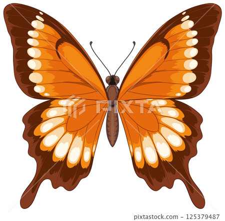 Vibrant Orange Butterfly Vector Illustration 125379487
