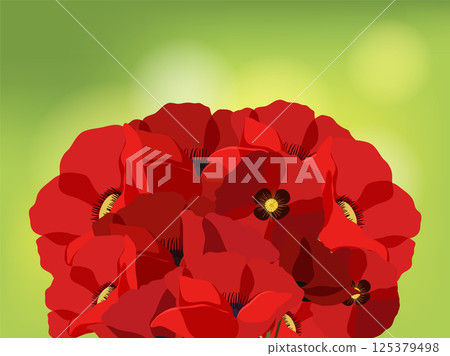 Vibrant Red Poppies on Soft Green Background 125379498