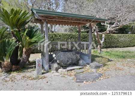 A chozuya (purification fountain) in the lush grounds A chozuya (purification fountain) in the lush grounds 125379613