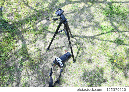 Outdoor photography: SLR camera and tripod placed on the grass Outdoor photography: SLR camera and tripod placed on the grass 125379620