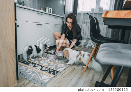 woman caring for japanese chin in modern kitchen, concept of pet care and contemporary lifestyle woman caring for japanese chin in modern kitchen, concept of pet care and contemporary lifestyle 125380113