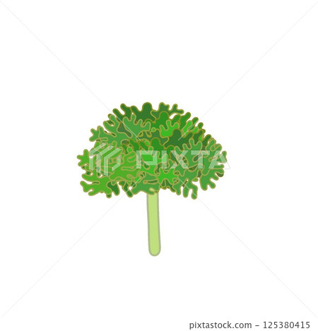 歐芹的插圖 125380415