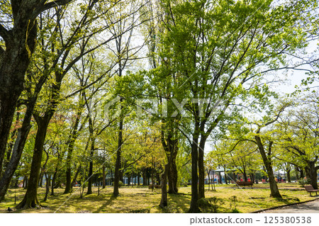 金澤市的休閒勝地－玉川公園 |公園圖片 |石川縣金澤市 125380538