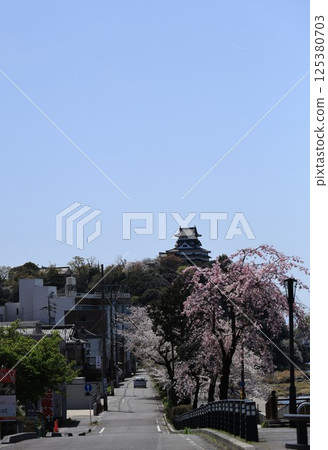 犬山城的春日景色與櫻花樹成蔭(愛知縣岐阜縣) 犬山城的春日景色與櫻花樹成蔭(愛知縣岐阜縣) 125380703