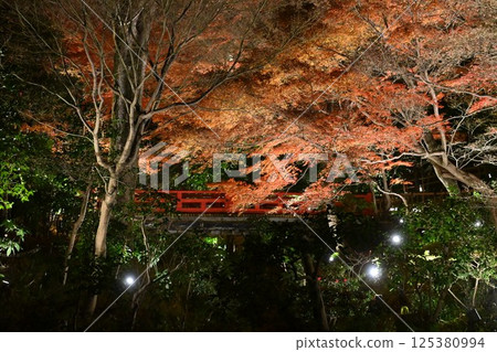 椿山莊的夜景 椿山莊的夜景 125380994