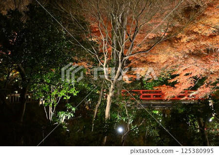 椿山莊的夜景 椿山莊的夜景 125380995
