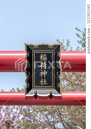 The torii plaque at Mikawa Inari Shrine turns a beautiful vermilion color in spring 125381345