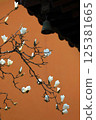 Magnolia Blossoms Against Temple Wall 125381665