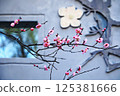 Pink Plum Blossoms Against a Textured Wall 125381666