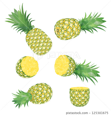 水彩菠蘿切菠蘿插畫集 125381675
