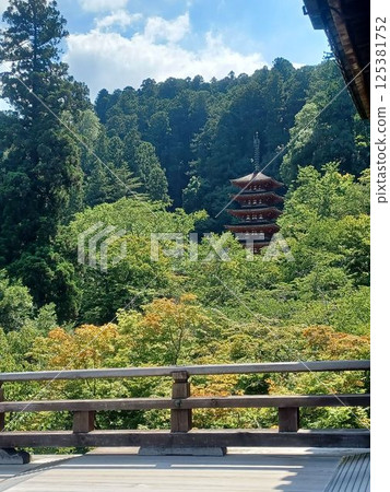 夏季的長谷寺五重塔 夏季的長谷寺五重塔 125381752