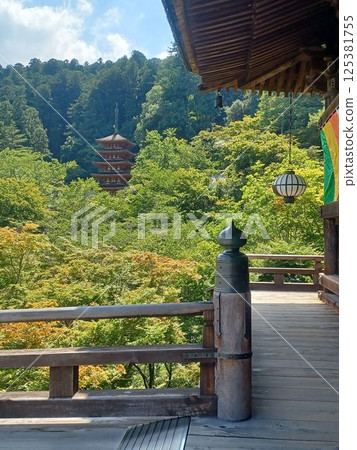 The five-story pagoda as seen from the stage of Hasedera Temple The five-story pagoda as seen from the stage of Hasedera Temple 125381755