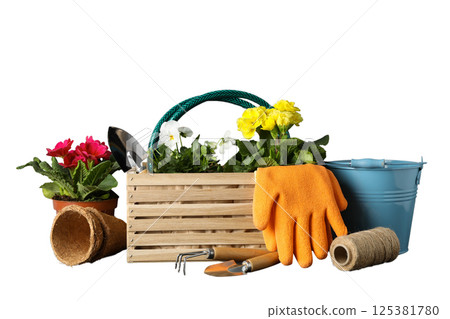 Gardening, Colorful flowers and tools neatly arranged for planting activities, isolated on white, PNG Gardening, Colorful flowers and tools neatly arranged for planting activities, isolated on white, PNG 125381780
