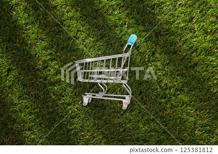 A metal shopping cart on the grass. A metal shopping cart on the grass. 125381812
