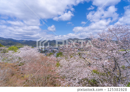 View of Togetsukyo Bridge and Sagano covered in cherry blossoms from the observation deck of Horinji Temple, Kyoto 125381928