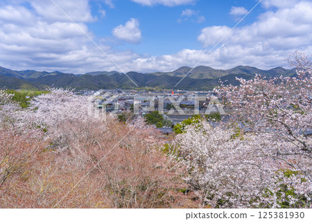 View of Togetsukyo Bridge and Sagano covered in cherry blossoms from the observation deck of Horinji Temple, Kyoto 125381930