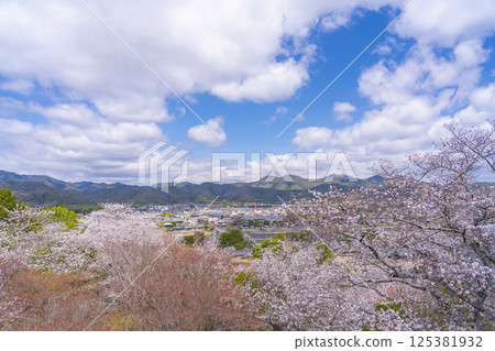 View of Togetsukyo Bridge and Sagano covered in cherry blossoms from the observation deck of Horinji Temple, Kyoto 125381932