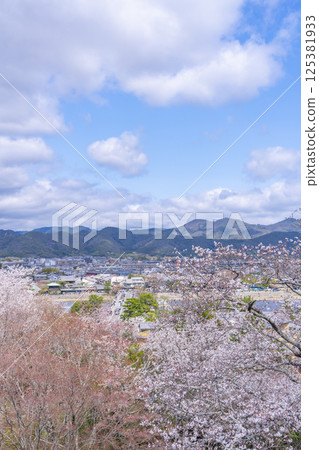 View of Togetsukyo Bridge and Sagano covered in cherry blossoms from the observation deck of Horinji Temple, Kyoto View of Togetsukyo Bridge and Sagano covered in cherry blossoms from the observation deck of Horinji Temple, Kyoto 125381933