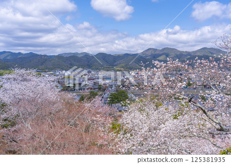 從京都法輪寺的觀景台可以欣賞到櫻花盛開的渡輪橋和嵯峨野 125381935