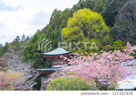 京都國藏法輪寺櫻花與寶塔 125381939