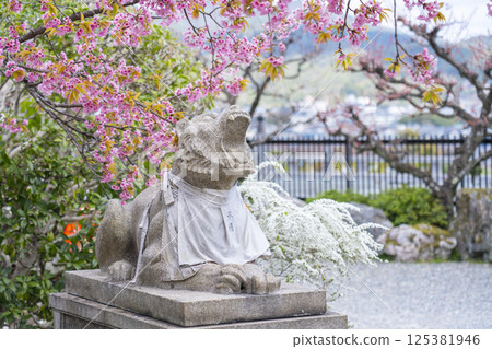 京都，黑藏法輪寺，櫻花環繞的守護虎 125381946