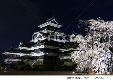 夜晚的松本城燈光璀璨，櫻花盛開 125382068