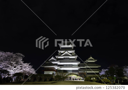 Illuminated Matsumoto Castle at night with cherry blossoms in full bloom Illuminated Matsumoto Castle at night with cherry blossoms in full bloom 125382070