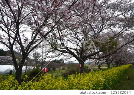 Tatsunoguchi Waterfront Park 2025-4-12 #8 Tatsunoguchi Waterfront Park 2025-4-12 #8 125382084