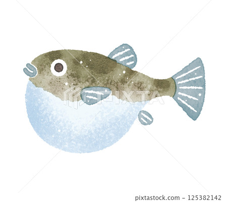 Fugu puffer fish watercolor illustration Fugu puffer fish watercolor illustration 125382142