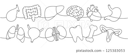 Organs set one line continuous drawing. Heart, kidneys, gallbladder, intestines, tooth, brain, lungs, stomach, liver, hand, nose, bone, ear, bladder 125383053