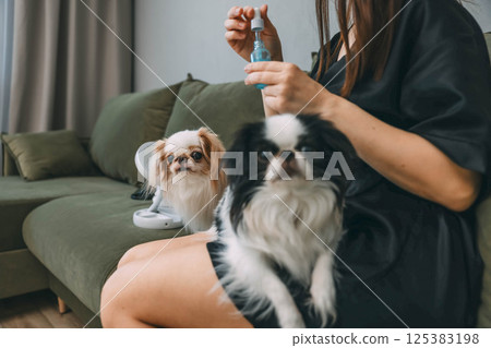 woman applying facial serum with small dropper during morning beauty routine, sitting on green sofa with two japanese chin dogs on her legs woman applying facial serum with small dropper during morning beauty routine, sitting on green sofa with two japanese chin dogs on her legs 125383198