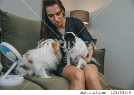 woman and her fluffy dogs Japanese chin, cozy home environment, complete with personal grooming items 125383199