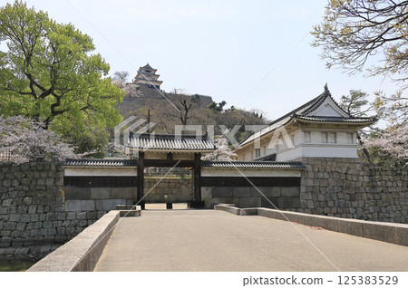 春季:櫻花盛開的丸龜城(二之紋、一之紋、天守閣) 春季:櫻花盛開的丸龜城(二之紋、一之紋、天守閣) 125383529