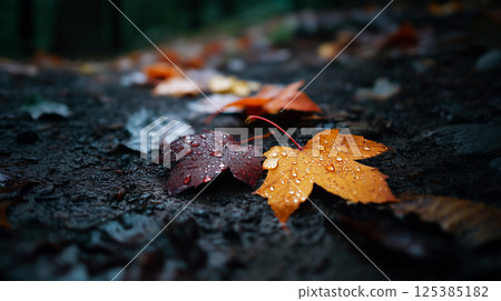 Close Up of Wet Autumn Leaves on Stone 125385182