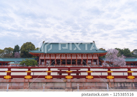 平安神宮外殿和左近櫻花盛開 125385516