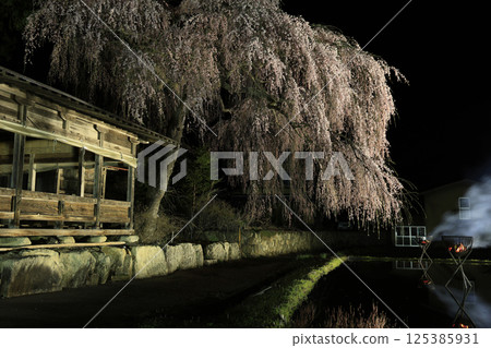 Hida Takayama, Aoya Shinmei Shrine: Illuminated cherry blossoms at night, bonfires, and reflections in rice fields 125385931