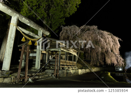 飛鎢高山、青穀神明神社:夜晚的櫻花與稻田的倒影 飛鎢高山、青穀神明神社:夜晚的櫻花與稻田的倒影 125385934