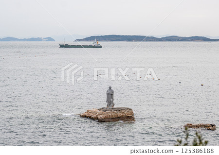 Landing master image 125386188