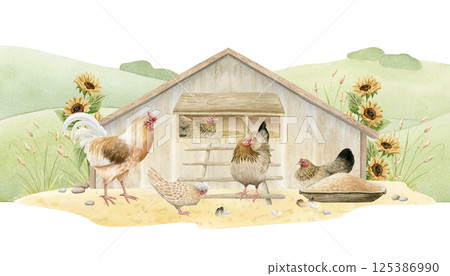 Watercolor farm landscape with chickens in wooden coop isolated illustration. Village scene with sunflowers, rooster and birds for poultry yard designs and organic goods in beige green colors Watercolor farm landscape with chickens in wooden coop isolated illustration. Village scene with sunflowers, rooster and birds for poultry yard designs and organic goods in beige green colors 125386990