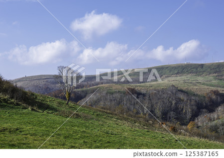 A mountain that turned red leaves A mountain that turned red leaves 125387165