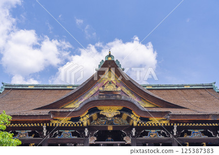 Early summer in Kyoto, Kitano Tenmangu Shrine, fresh green flying plum blossoms and the main hall 125387383