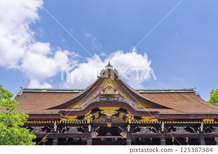 初夏的京都，北野天滿宮，新綠飛梅，正殿 125387384