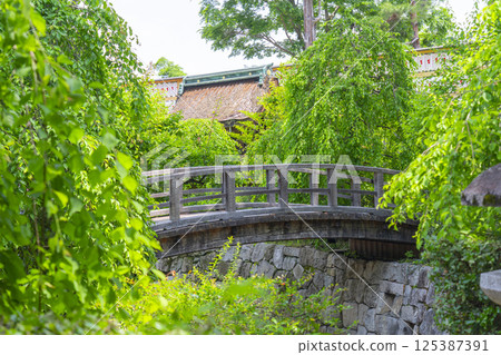 Early summer in Kyoto, Kitano Tenmangu Shrine, Ume-en "Flower Garden", Taiko Bridge over the Mitarai River 125387391
