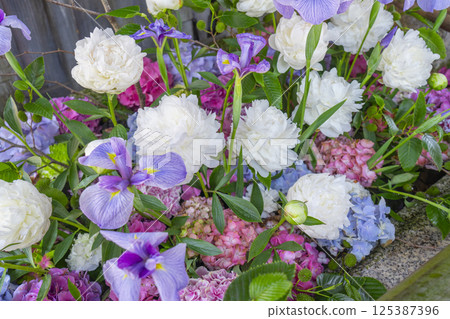 Early summer in Kyoto: Flower fountain at Kitano Tenmangu Shrine Early summer in Kyoto: Flower fountain at Kitano Tenmangu Shrine 125387396