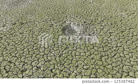 Drought cracked pond soil crust wetland water, swamp drone aerial drying up earth climate change, environmental disaster and earth cracks very, death for plants and animals, soil dry, Europe 125387482